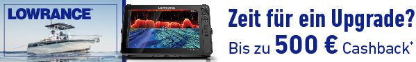 LOW0852-Q3-Ultimate-Upgrade-web-banner-DE-728x90-08-20